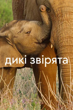Wild Babies