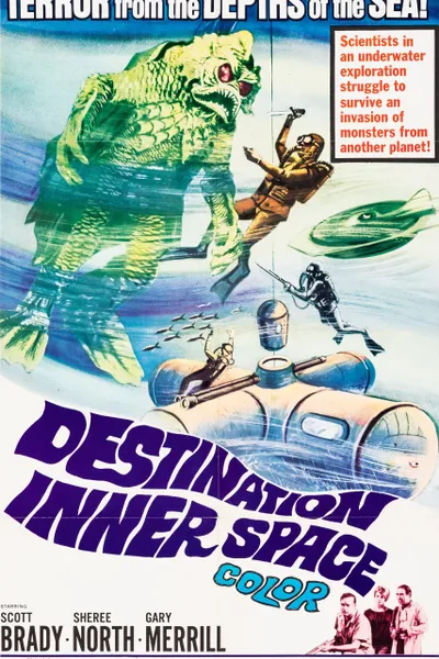 Destination Inner Space