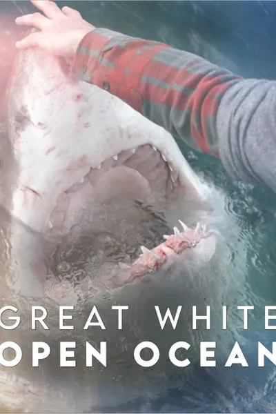 Great White Open Ocean