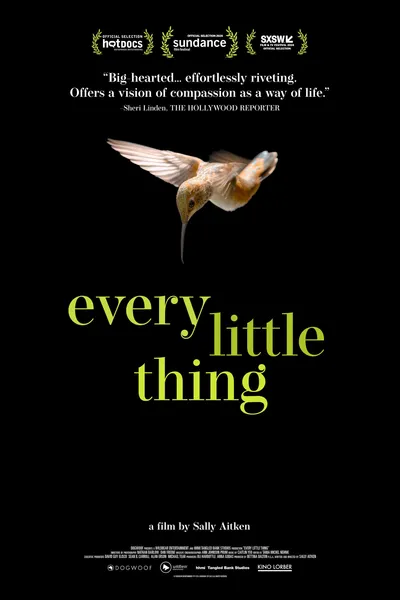 Every Little Thing