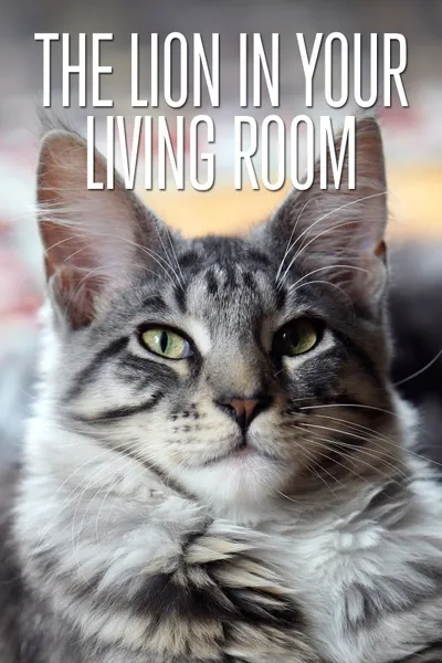 The Lion in Your Living Room
