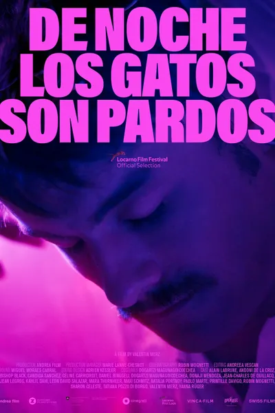 At Night All the Cats Are Black